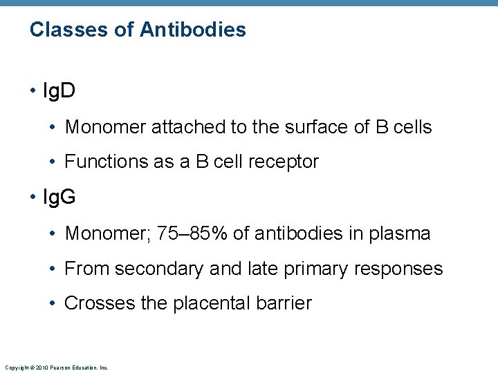 Classes of Antibodies • Ig. D • Monomer attached to the surface of B