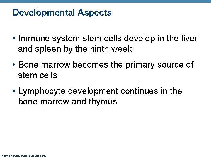 Developmental Aspects • Immune system cells develop in the liver and spleen by the