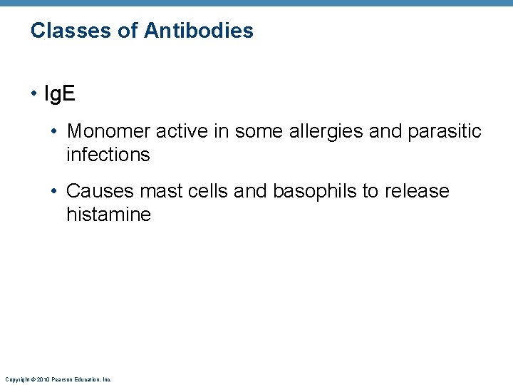 Classes of Antibodies • Ig. E • Monomer active in some allergies and parasitic
