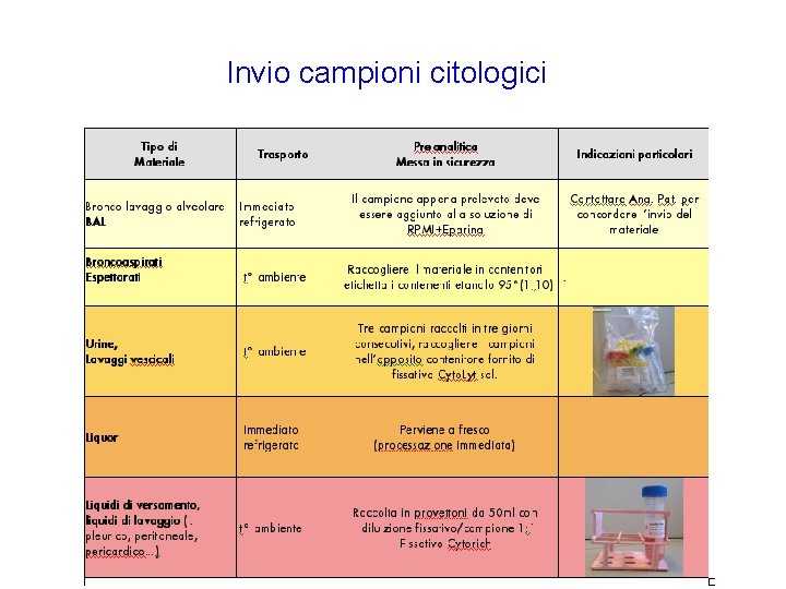 Invio campioni citologici 