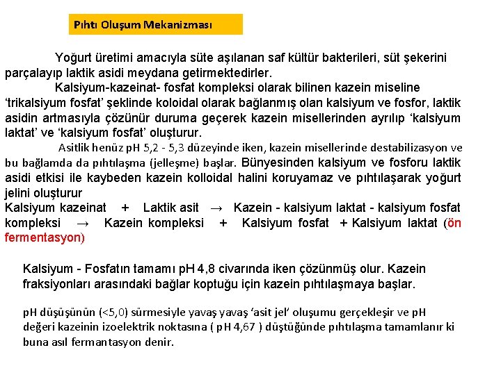 Pıhtı Oluşum Mekanizması Yoğurt üretimi amacıyla süte aşılanan saf kültür bakterileri, süt şekerini parçalayıp