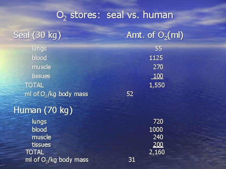 O 2 stores: seal vs. human Seal (30 kg) lungs blood muscle tissues TOTAL