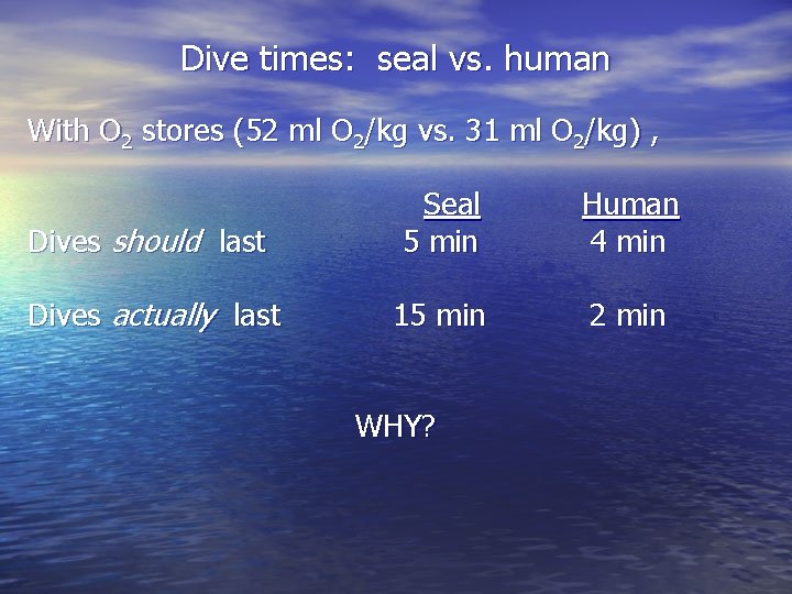 Dive times: seal vs. human With O 2 stores (52 ml O 2/kg vs.