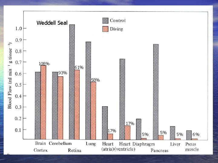Weddell Seal 108% 61% 93% 58% 17% 5% 5% 5% 6% 