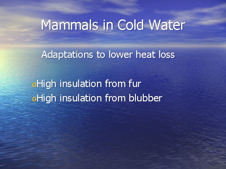 Mammals in Cold Water Adaptations to lower heat loss o. High insulation from fur