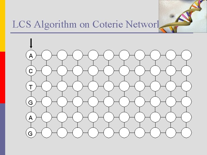 LCS Algorithm on Coterie Network A C T G A G 