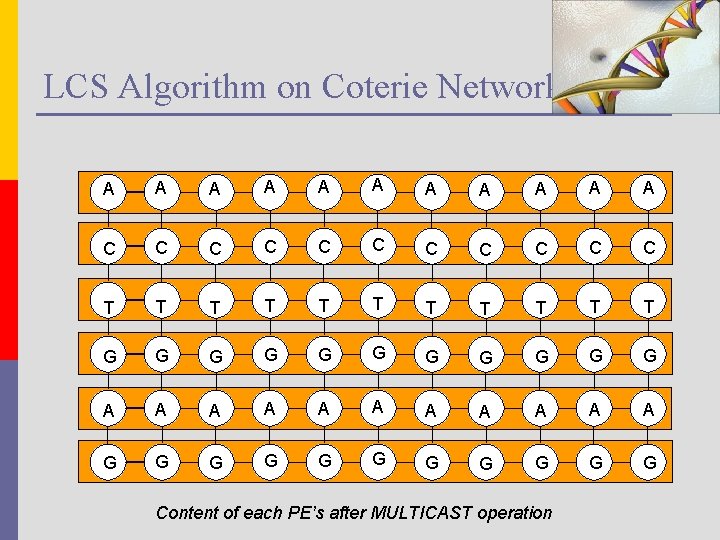 LCS Algorithm on Coterie Network A A A C C C T T T