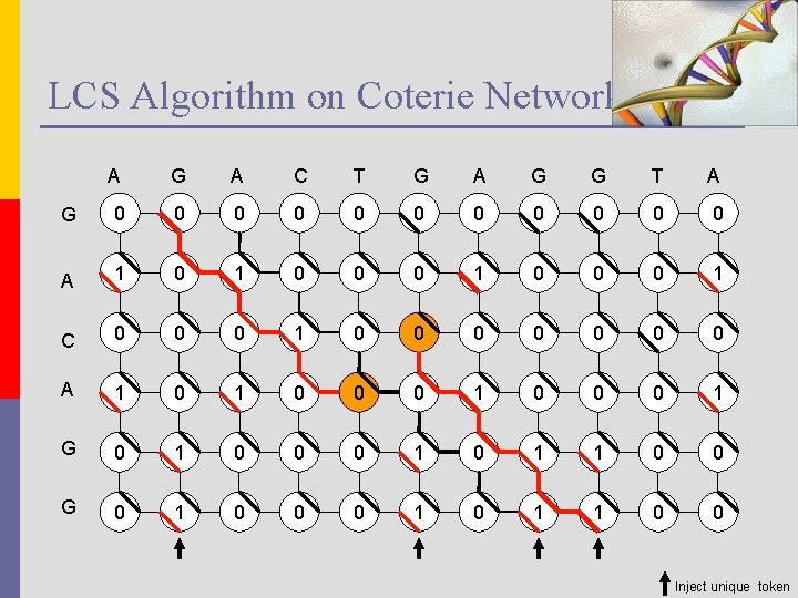 LCS Algorithm on Coterie Network A G A C T G A G G