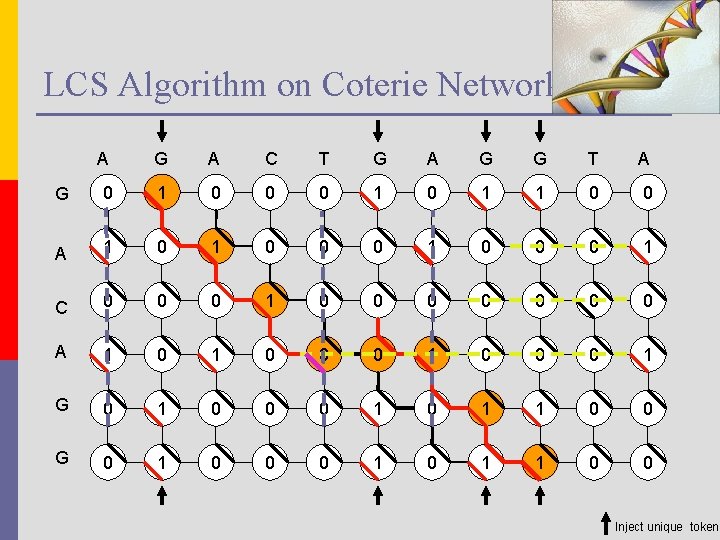 LCS Algorithm on Coterie Network A G A C T G A G G