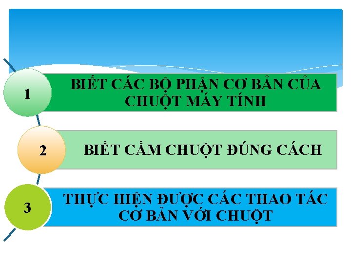 BIẾT CÁC BỘ PHẬN CƠ BẢN CỦA CHUỘT MÁY TÍNH 1 2 3 BIẾT