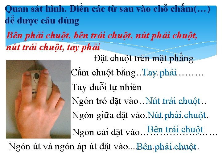 Quan sát hình. Điền các từ sau vào chỗ chấm(…) để được câu đúng