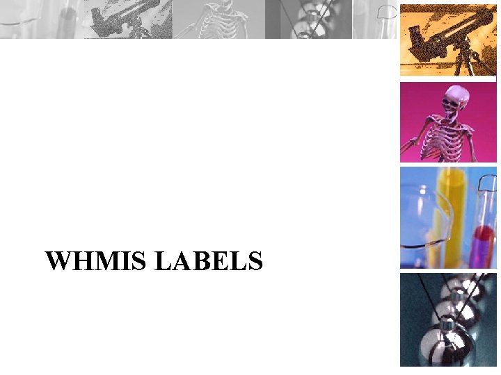 WHMIS LABELS 