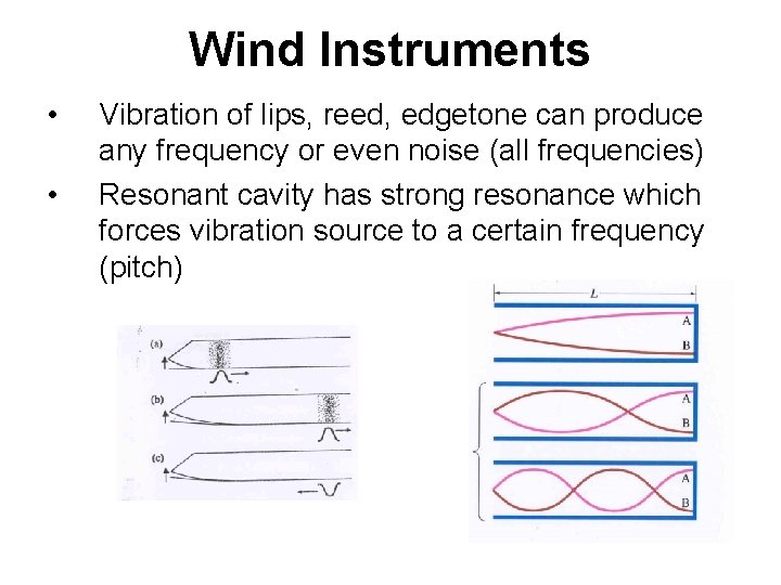Wind Instruments • • Vibration of lips, reed, edgetone can produce any frequency or
