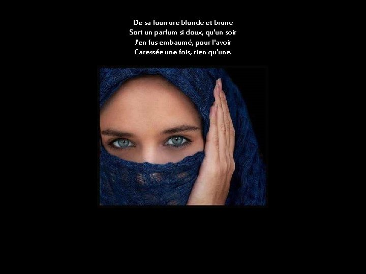 De sa fourrure blonde et brune Sort un parfum si doux, qu'un soir J'en