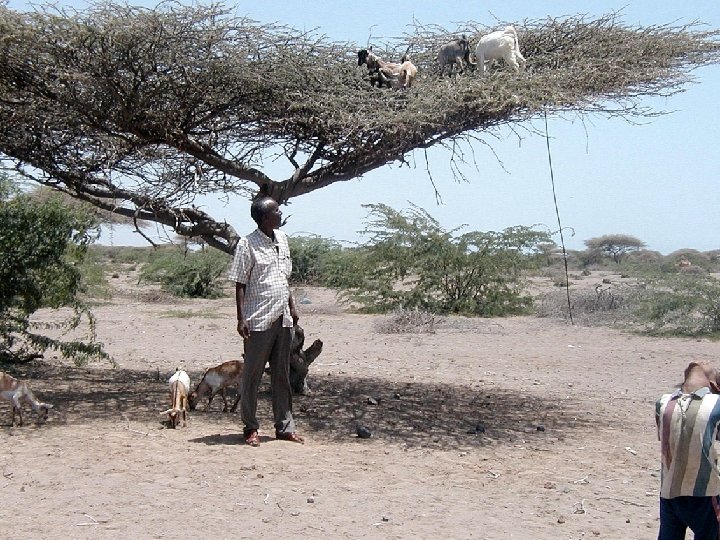 Arroyo Grande R. A. M. Meeting 22 July 2013 