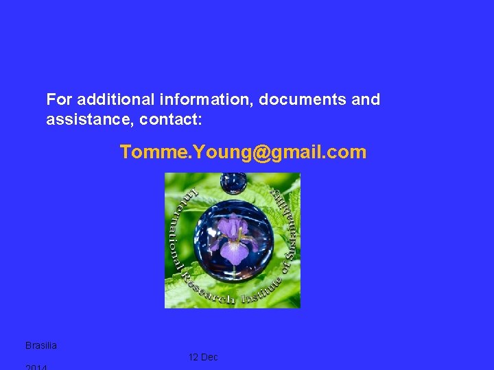 For additional information, documents and assistance, contact: Tomme. Young@gmail. com Brasilia 12 Dec 