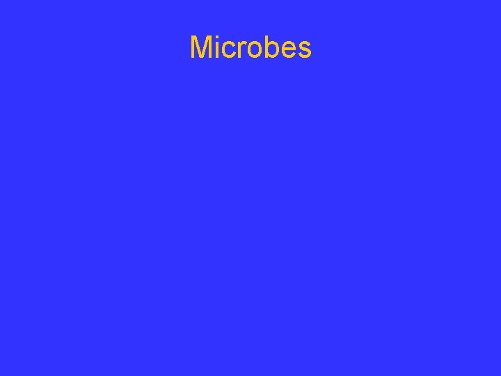 Microbes 