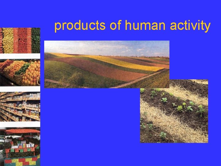 products of human activity 