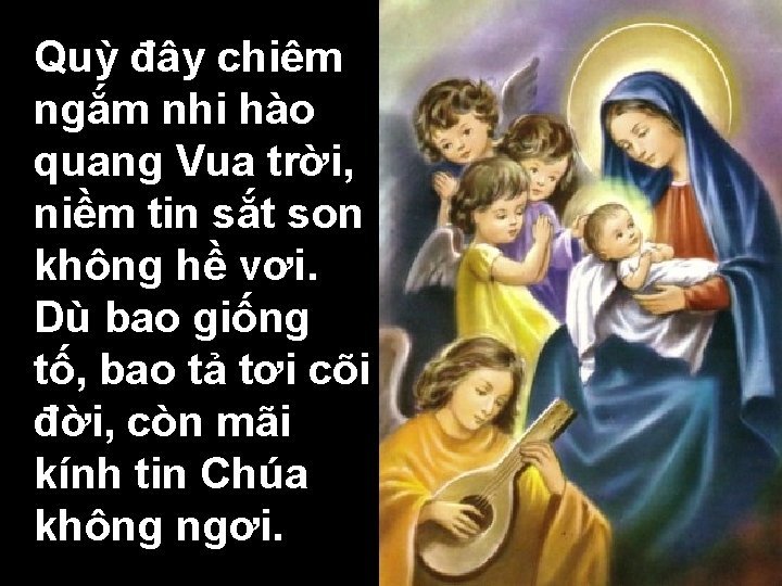 Quỳ đây chiêm ngắm nhi hào quang Vua trời, niềm tin sắt son không