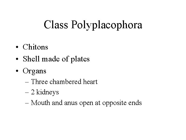 Class Polyplacophora • Chitons • Shell made of plates • Organs – Three chambered