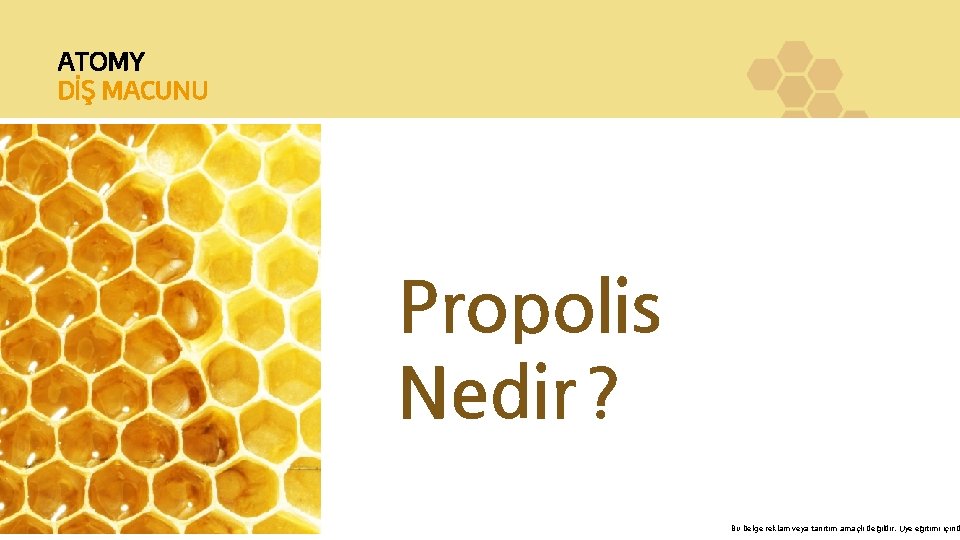 ATOMY DİŞ MACUNU Propolis Nedir? Bu belge reklam veya tanıtım amaçlı değildir. Üye eğitimi