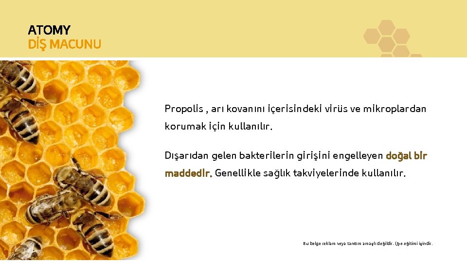 ATOMY DİŞ MACUNU Propolis , arı kovanını içerisindeki virüs ve mikroplardan korumak için kullanılır.