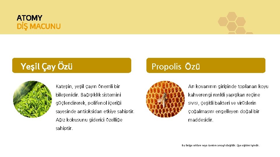 ATOMY DİŞ MACUNU Yeşil Çay Özü Propolis Özü Kateşin, yeşil çayın önemli bir Arı