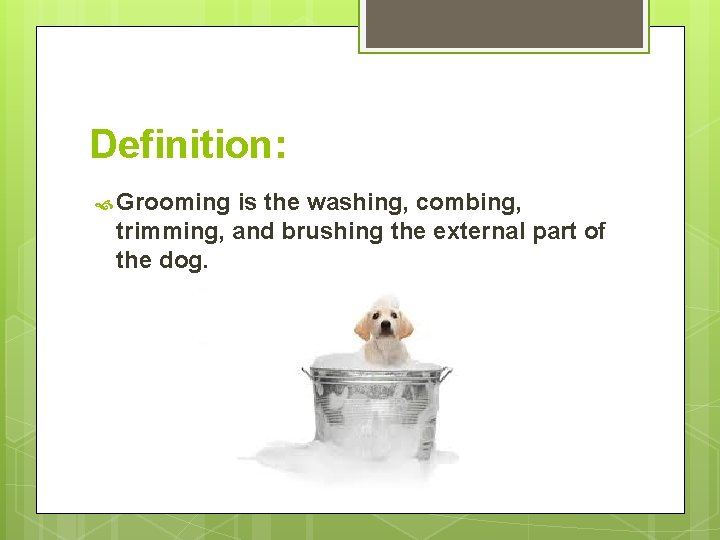 Definition: Grooming is the washing, combing, trimming, and brushing the external part of the