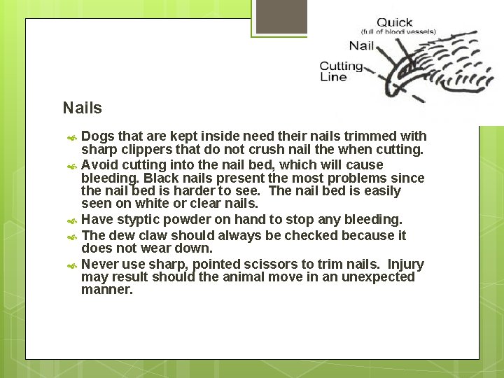 Nails Dogs that are kept inside need their nails trimmed with sharp clippers that