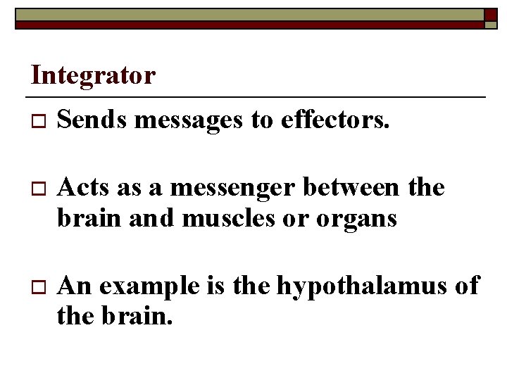 Integrator o Sends messages to effectors. o Acts as a messenger between the brain