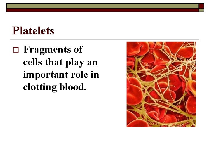 Platelets o Fragments of cells that play an important role in clotting blood. 