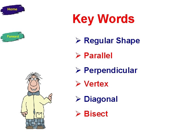Key Words Regular Shape Parallel Perpendicular Vertex Diagonal Bisect 