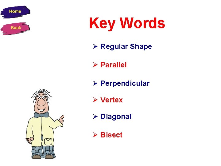 Key Words Regular Shape Parallel Perpendicular Vertex Diagonal Bisect 