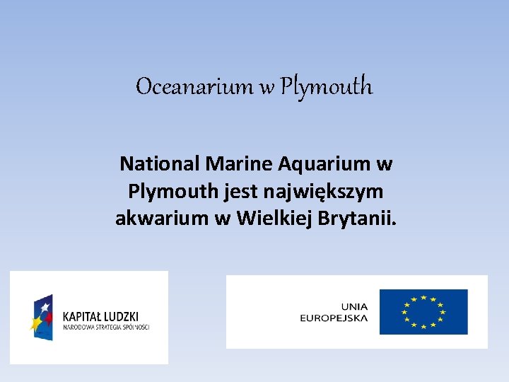 Oceanarium w Plymouth National Marine Aquarium w Plymouth jest największym akwarium w Wielkiej Brytanii.