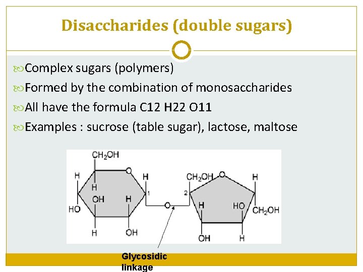 Disaccharides (double sugars) Complex sugars (polymers) Formed by the combination of monosaccharides All have