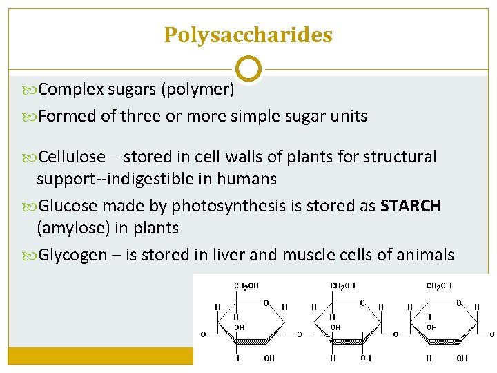 Polysaccharides Complex sugars (polymer) Formed of three or more simple sugar units Cellulose –