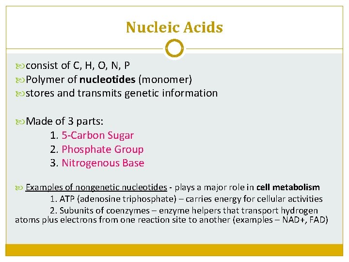 Nucleic Acids consist of C, H, O, N, P Polymer of nucleotides (monomer) stores