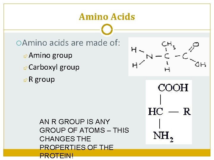 Amino Acids Amino acids are made of: Amino group Carboxyl group R group AN
