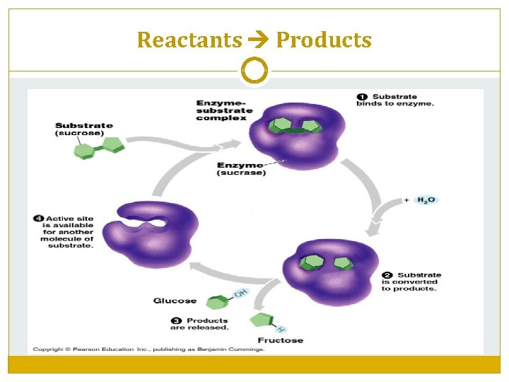 Reactants Products 