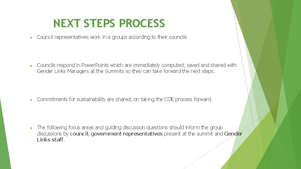 NEXT STEPS PROCESS Council representatives work in a groups according to their councils. Councils