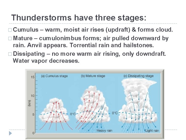 Thunderstorms have three stages: � Cumulus – warm, moist air rises (updraft) & forms