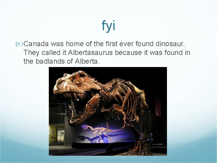 fyi Canada was home of the first ever found dinosaur. They called it Albertasaurus