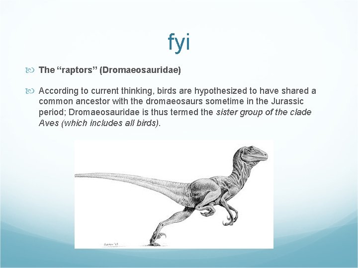 fyi The “raptors” (Dromaeosauridae) According to current thinking, birds are hypothesized to have shared