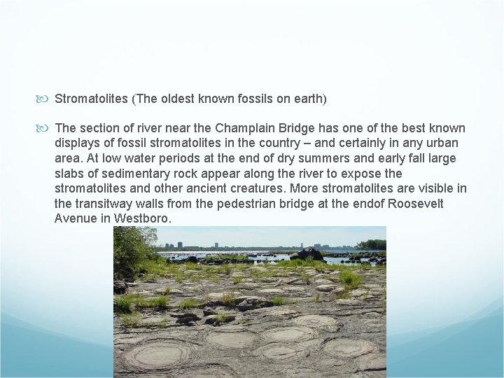  Stromatolites (The oldest known fossils on earth) The section of river near the