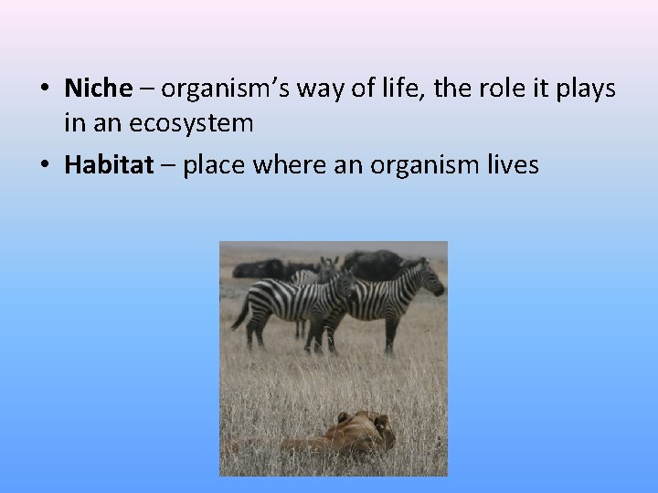  • Niche – organism’s way of life, the role it plays in an