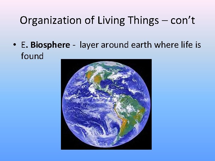 Organization of Living Things – con’t • E. Biosphere - layer around earth where