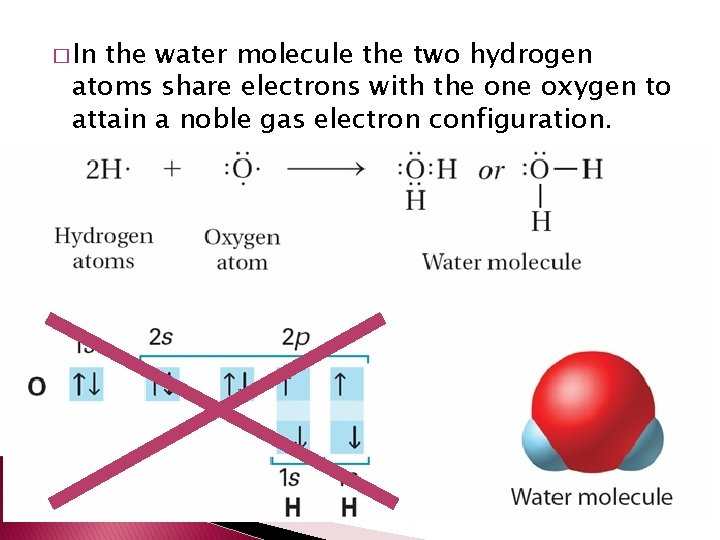 � In the water molecule the two hydrogen atoms share electrons with the one