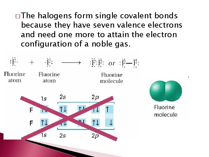 � The halogens form single covalent bonds because they have seven valence electrons and