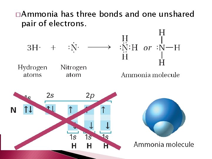 � Ammonia has three bonds and one unshared pair of electrons. 