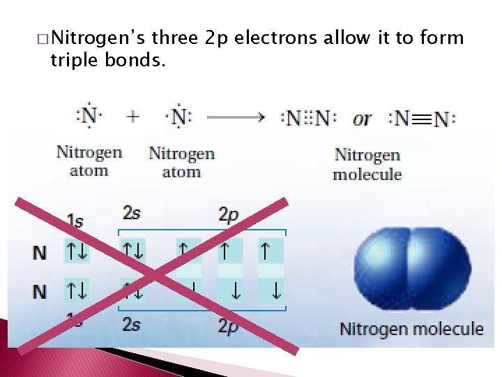 � Nitrogen’s three 2 p electrons allow it to form triple bonds. 